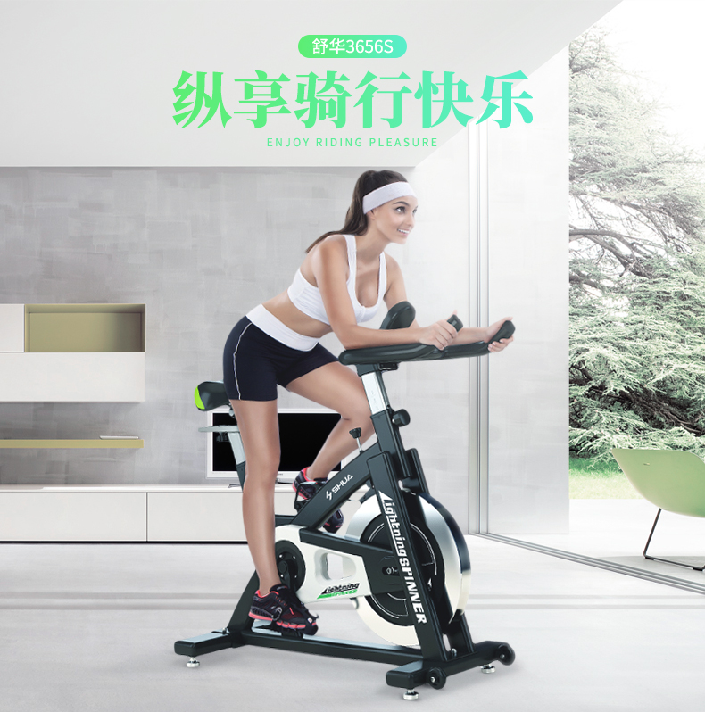 舒华SHUA动感单车家用室内静音健身车单车自行车健身器材SHB3656S(图13)