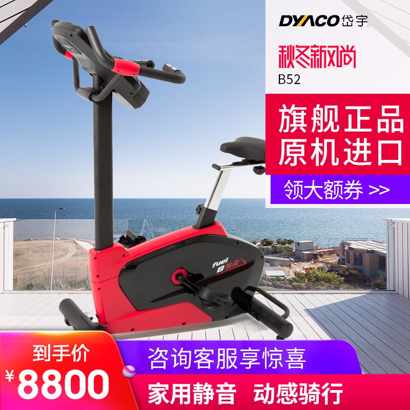 DYACO岱宇B52磁控静音迷你健身车室内运动立式车家用款动感单车