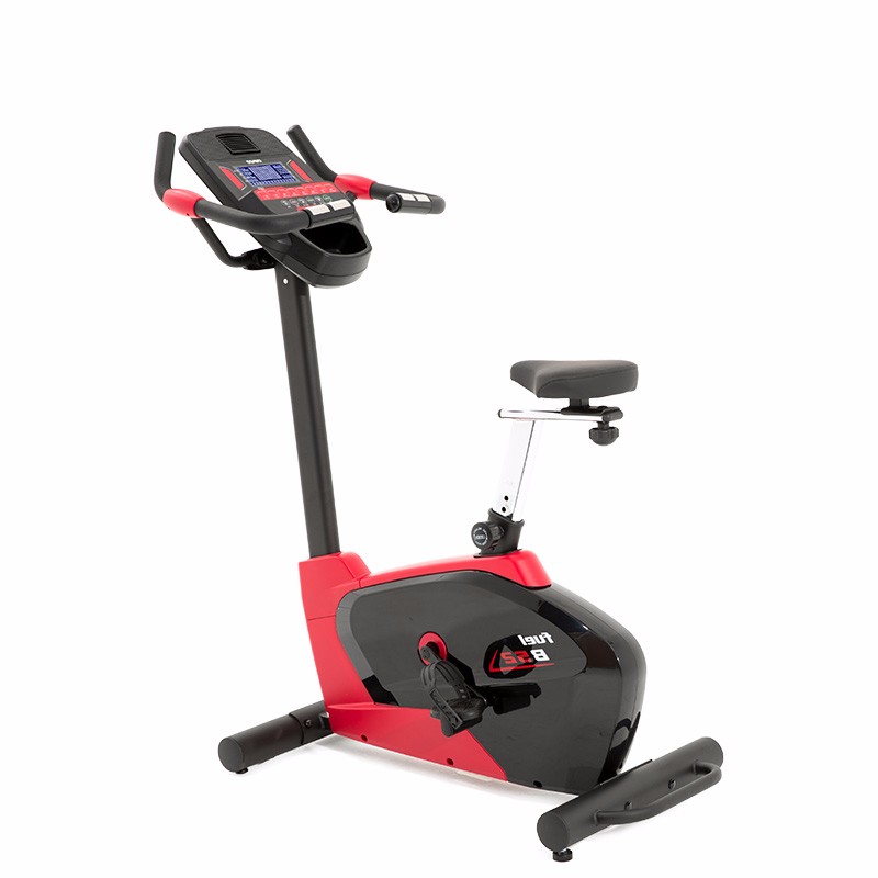 DYACO岱宇B52磁控静音迷你健身车室内运动立式车家用款动感单车