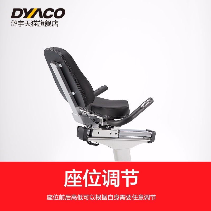DYACO岱宇FR500进口磁控静音健身车家用室内卧式健身脚踏车