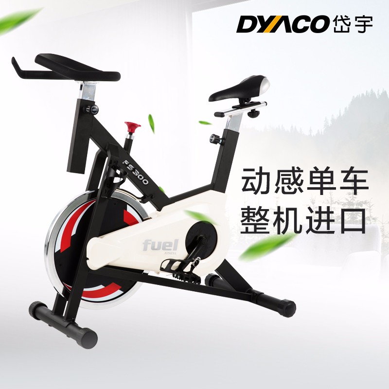 DYACO岱宇FS300进口家用款静音动感单车骑行车自行车室内健身器材