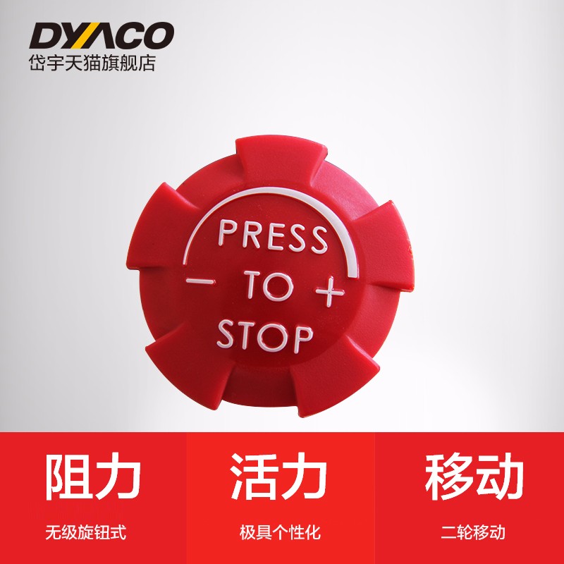 DYACO岱宇FS300进口家用款静音动感单车骑行车自行车室内健身器材