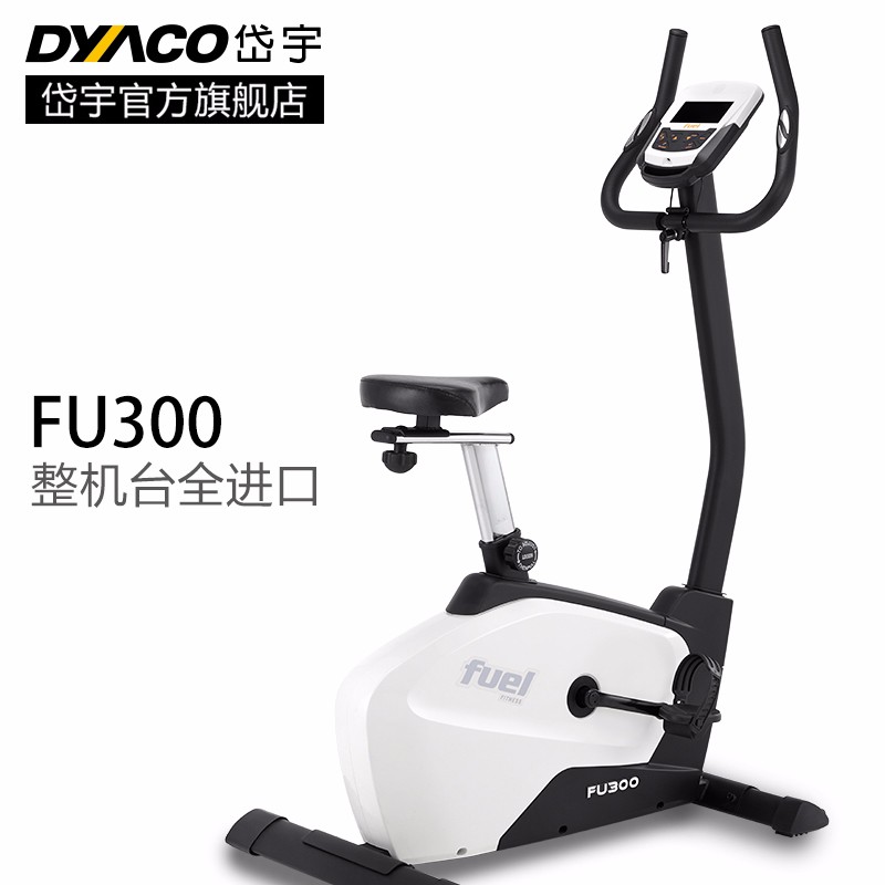 DYACO岱宇FU300磁控静音迷你健身车室内运动立式车家用款动感单车