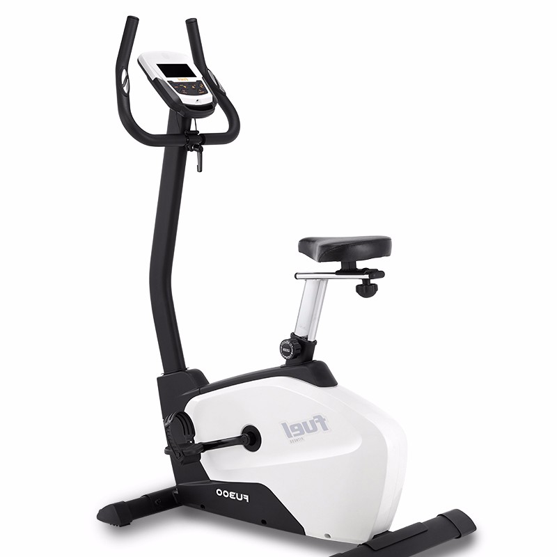 DYACO岱宇FU300磁控静音迷你健身车室内运动立式车家用款动感单车