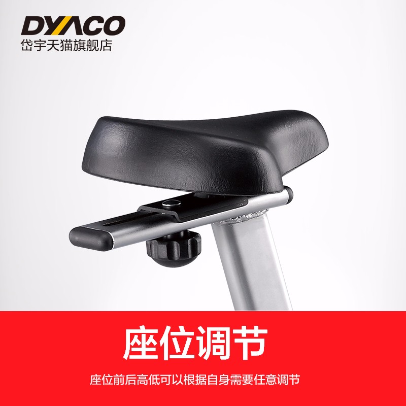 DYACO岱宇FU300磁控静音迷你健身车室内运动立式车家用款动感单车