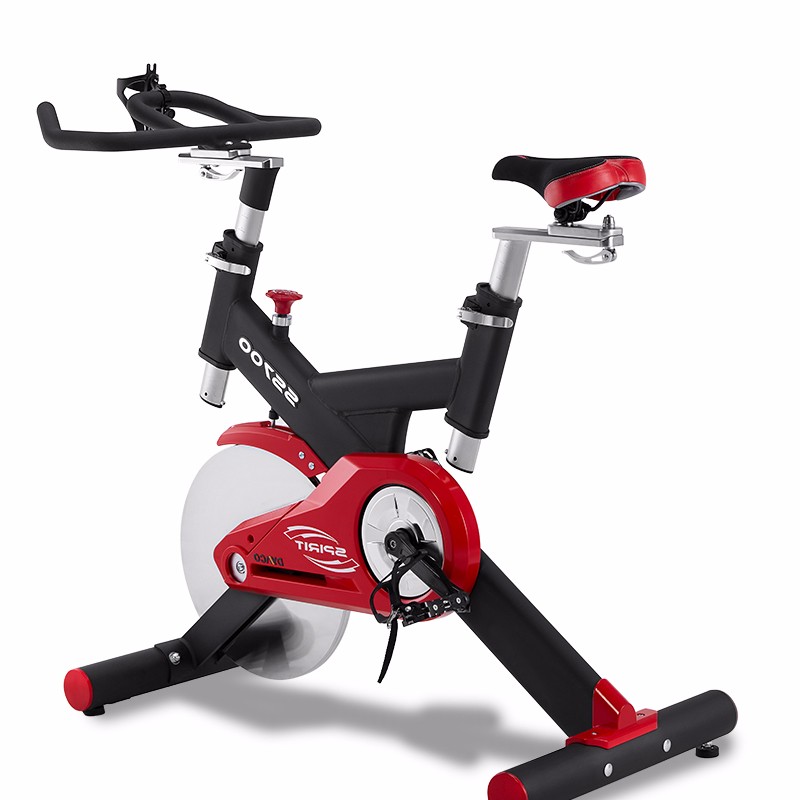 DYACO岱宇SS700进口静音家用款动感单车骑行车自行车室内健身器