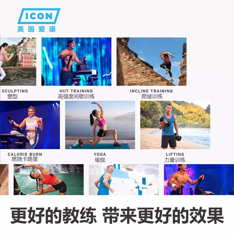美国icon爱康家用减震静音椭圆机室内健身房商用太空漫步机FS7i