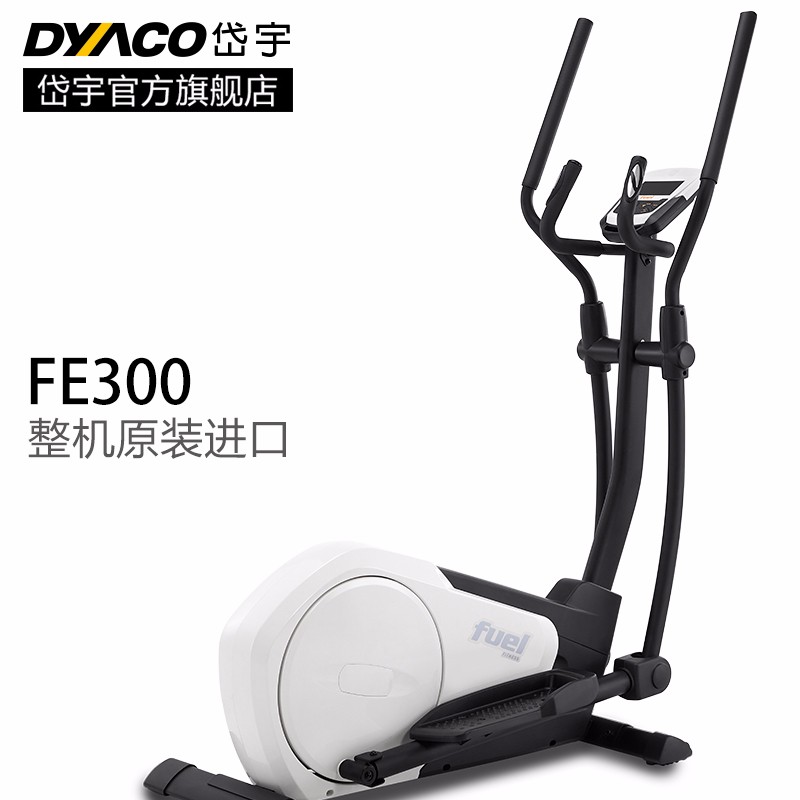 DYACO岱宇FE300椭圆仪椭圆机家用健身器材进口磁控静音椭圆仪