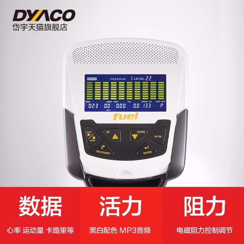 DYACO岱宇FE300椭圆仪椭圆机家用健身器材进口磁控静音椭圆仪