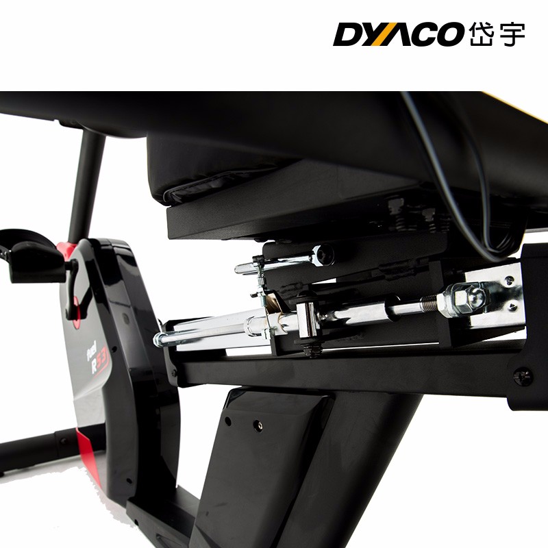 DYACO岱宇R53进口磁控静音健身车家用室内卧式健身脚踏车
