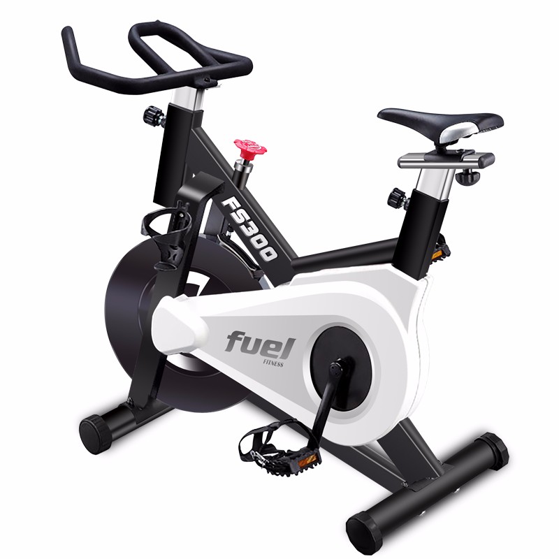 DYACO岱宇FS300进口家用款静音动感单车骑行车自行车室内健身器材