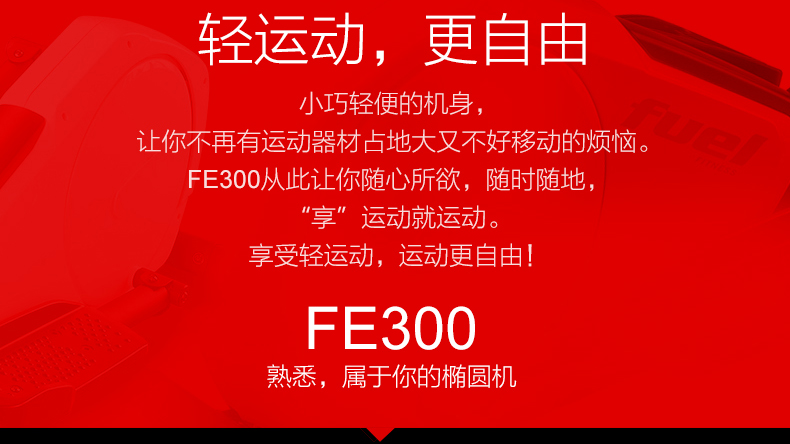 DYACO岱宇FE300椭圆仪椭圆机家用健身器材进口磁控静音椭圆仪(图7)