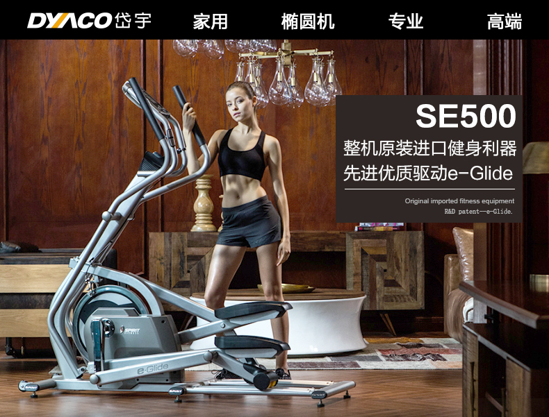 DYACO岱宇SE500静音椭圆机家用健身太空漫步商用磁控静音椭圆仪(图5)