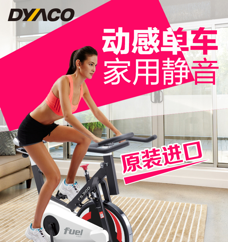 DYACO岱宇FS300进口家用款静音动感单车骑行车自行车室内健身器材(图4)
