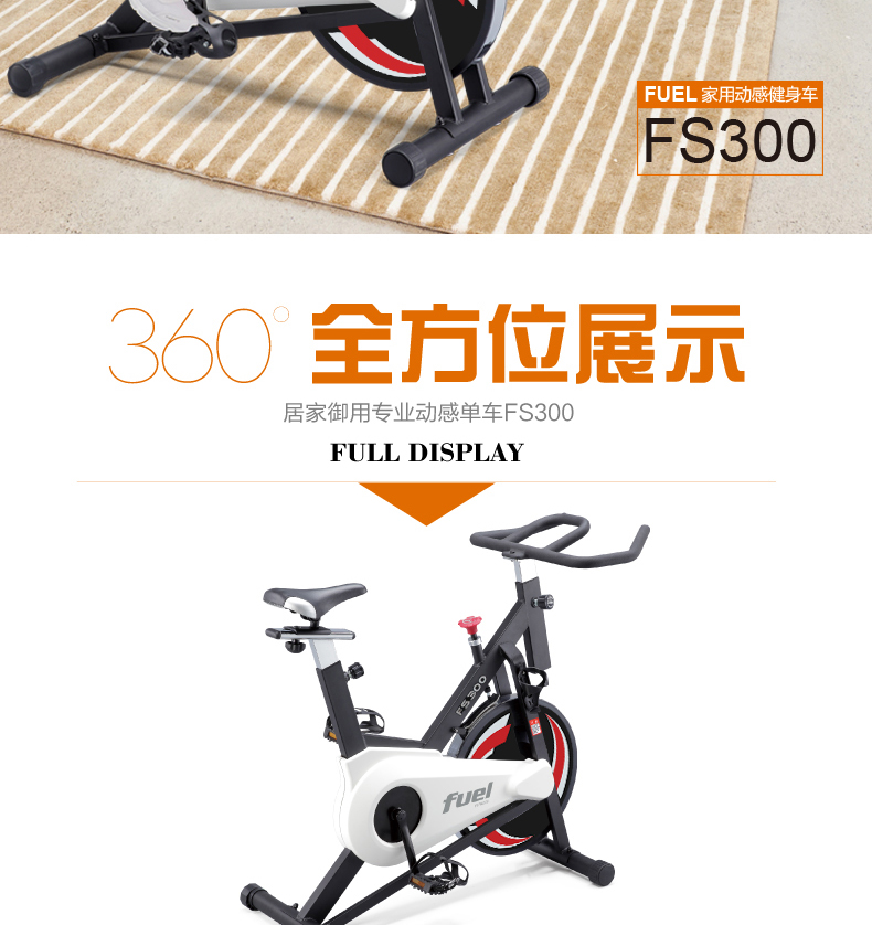 DYACO岱宇FS300进口家用款静音动感单车骑行车自行车室内健身器材(图5)