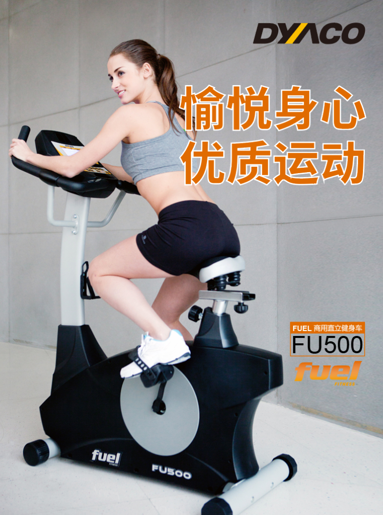 DYACO岱宇FU500进口有氧磁控立式健身车家用款室内超静音脚踏车(图3)