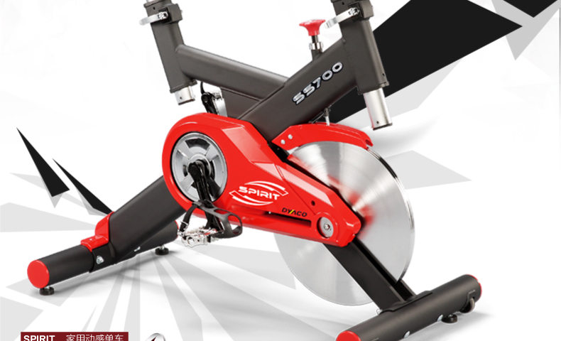 DYACO岱宇SS700进口静音家用款动感单车骑行车自行车室内健身器(图6)