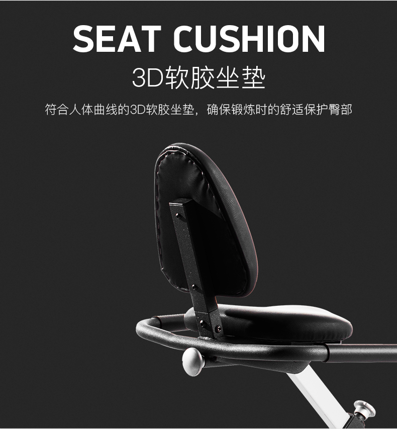 美国icon爱康动感单车百乐福静音家用室内自行车磁控健身车X-Bike(图10)