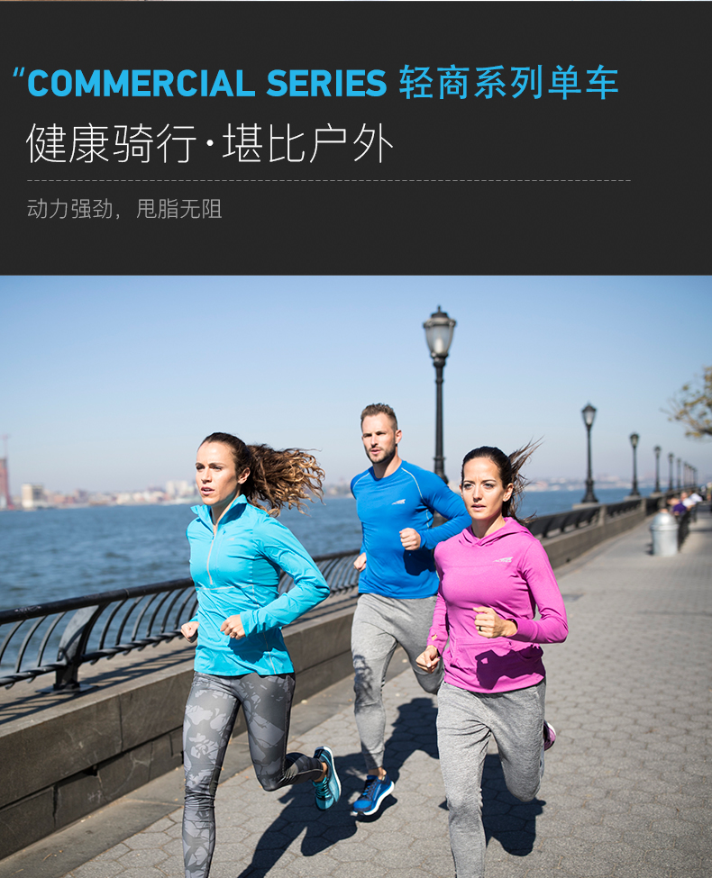 美国icon爱康家用静音健身动感单车诺迪克室内自行车脚踏车GX3.8(图4)