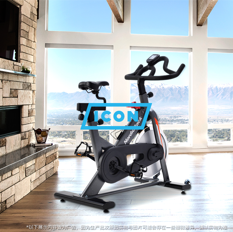 美国icon爱康家用静音健身动感单车诺迪克室内自行车脚踏车GX3.8(图3)
