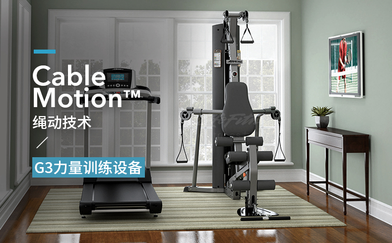 LifeFitness-力健绳动力量训练器综合型家用健身器材 G3 G3+脚蹬(图1)