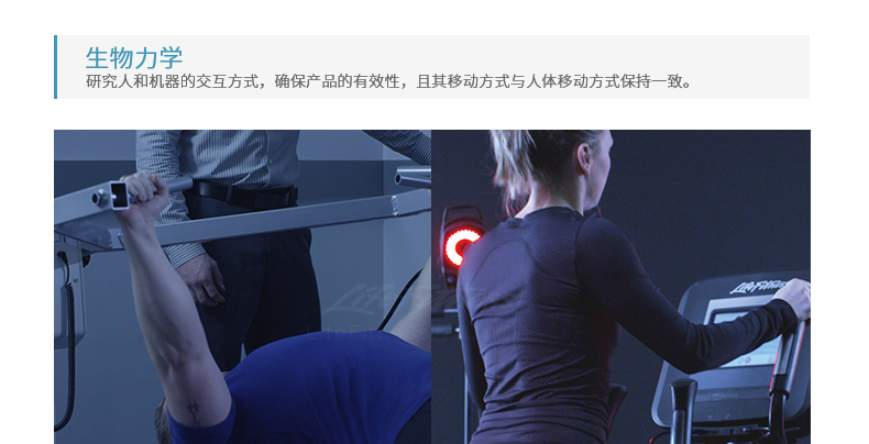 LifeFitness-力健综合力量训练器械综合型家庭用多功能健身器材 G4(图12)
