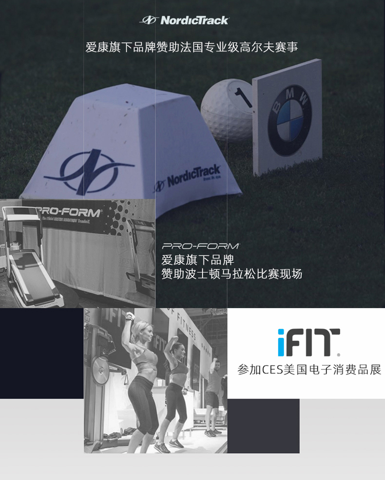 美国icon爱康家用健身静音椭圆机磁控可调坡度轻商用椭圆仪520E(图18)