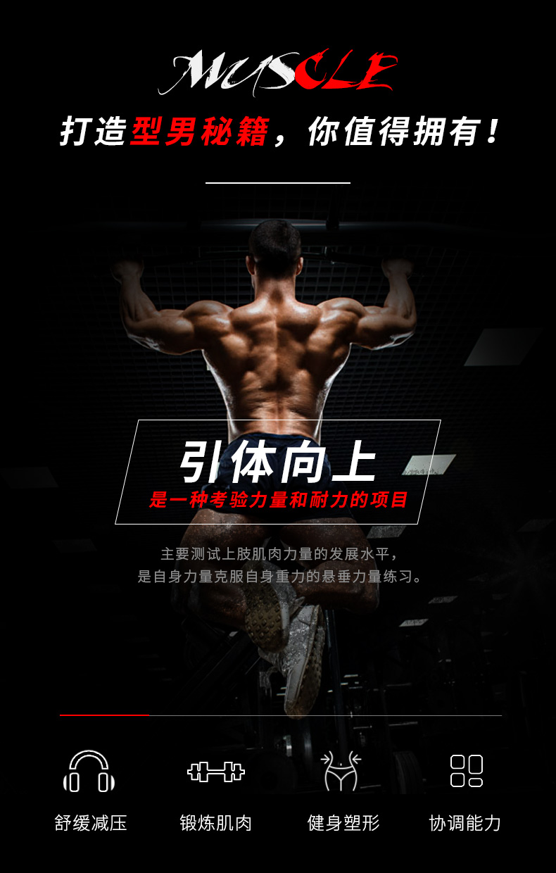 锐步RSRG-10600家用壁挂式引体向上训练架成人多功能健身器材(图6)