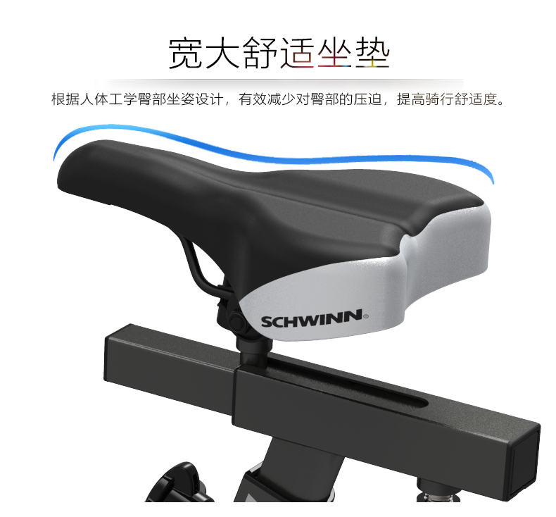 Schwinn十字星健身车室内运动健身房器材静音动感单车家用减肥器(图11)
